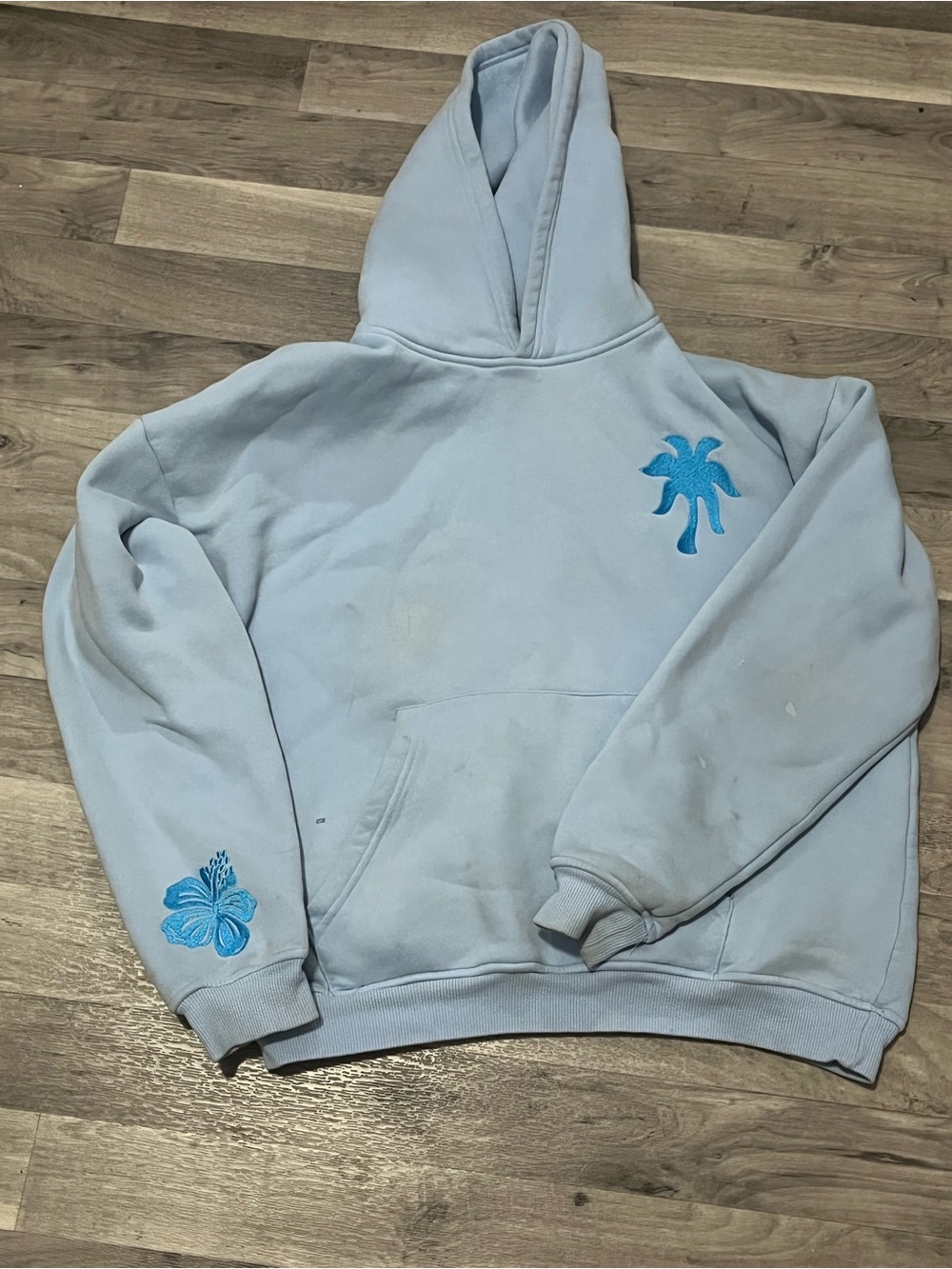 light blue pink palm puff hoodie